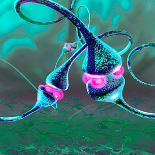 Synaptogenesis 2 - Creative Neuroscience for Beginners