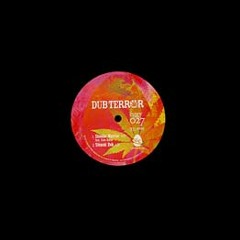DUB TERROR feat Echo Ranks - SHINOBI WARRIOR (AKASHIC 11 REMIX)