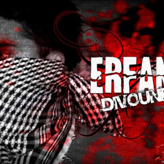 Erfan - Divouneh