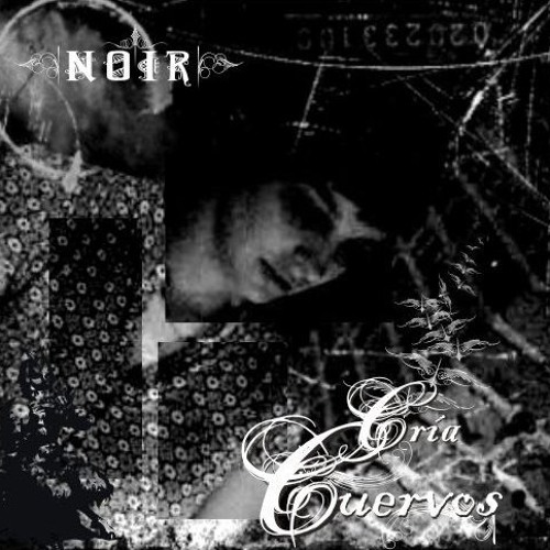 Declaración frente al espejo (ridículo sentimiento de culpa)