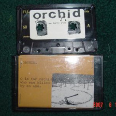 Orchid - 36 Day Syndrome