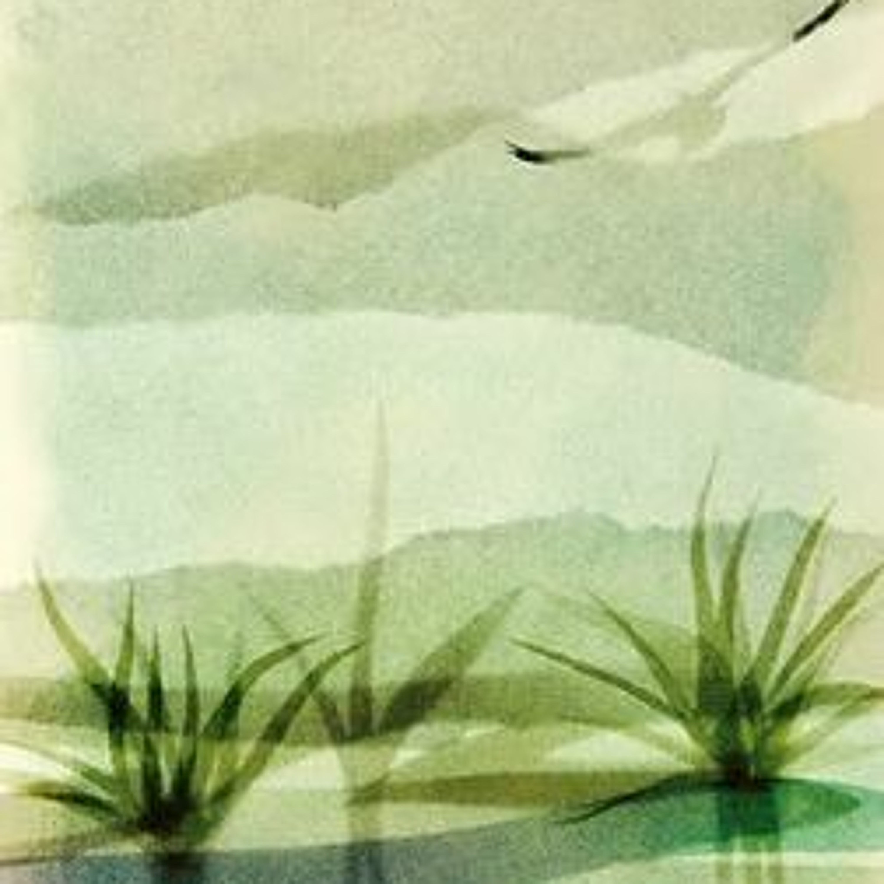 Weekly noise-A year long project of songs,sounds and recordings
