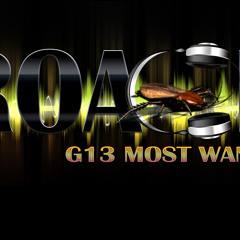 DJ RoAcH CARDIAC STRINGS RIDDIM MIX PREVIEW FRM CULTURE MIXTAPE