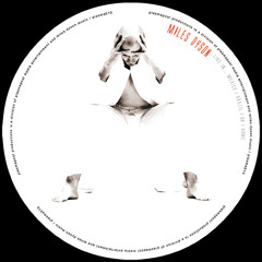 Miles Dyson - Live In Mexico