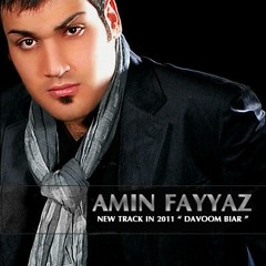 08 - Amin Fayyaz - Davoom Biar - 128