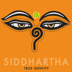 True Identity - Siddhartha (Original Mix)