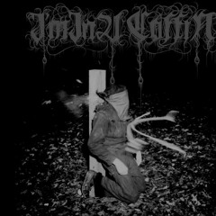 I'm In A Coffin - Vein Deep In The Solution