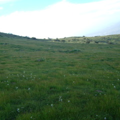 Angelo Deep - Memorias