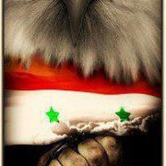 syria Freedom  (Please listen to those who are fluent in French)