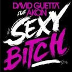 [Old] David Guetta feat. Akon - Sexy Bitch (Kevin Traxx Old Remix)