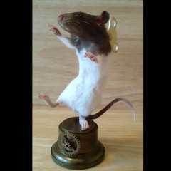 Ephibi - Rat rave