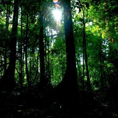 Junglist For Life (Mix)