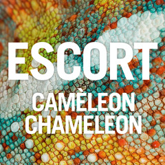 Escort - Caméleon Chameleon (Club Remix)