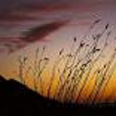 Mistral (1996) Re-Mastered 2011