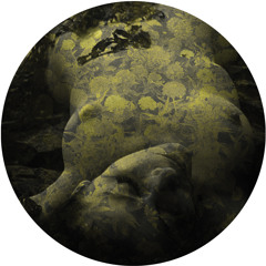 Salva - Obsession ft. B. Bravo