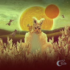 House of Circles