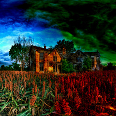 Project - RoboM CaRiuz