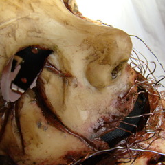 dj snooki punch -Deathmask  12 minute mix heaviest dubstep mix free download !!!