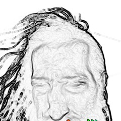 Audio Recording on Tuesday morning