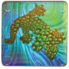 The Opportunity of a Lifetime Blues