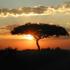 Wise Man Backing Track( Uriah Heep )