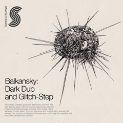 Balkansky: Dark Dub and Glitch-Step Demo 01