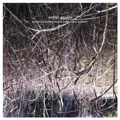 Eraldo Bernocchi, Harold Budd, Robin Guthrie - Entangled