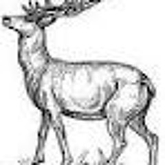 FSOP-Iveta Bartošová&BoyWonder&???&PaľoBielik /live act sample/