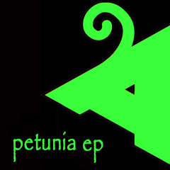 Gux Jimenez feat. Anori - Petunia (original mix)