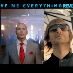 Give Me Everything Remix (vs Where Them Girls At)