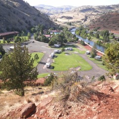 gronxkey - tree branches are like butterflies