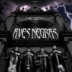 AVES NEGRAS - ARDE