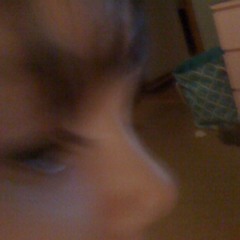 clem is the champion