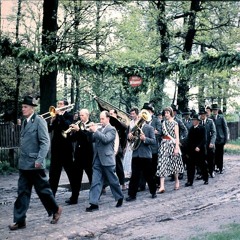 Wombat DLF Kultur radioplay theme "Hundegulag"