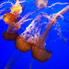 The future will make us more human - mix