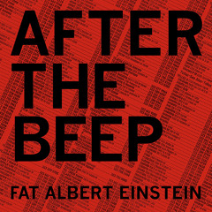 Fat Albert Einstein - After The Beep (Snippet Mix)