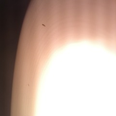 Ghosts (Gerber/Sobel - 2011)