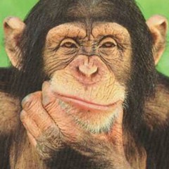 Stop What You're Doing