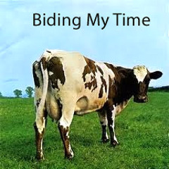 Biding My Time - Early Pink Floyd  live @ ZanzibarZg 2001