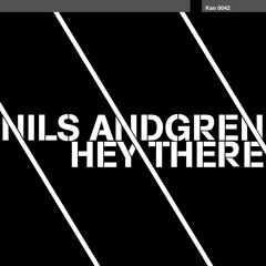 Nils Andgren - Hey There (Original Mix)