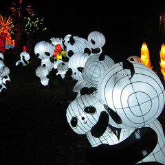 DJ Lee *PaNdA* Feat. Ellie Goulding Lights (Dubstep Remix)