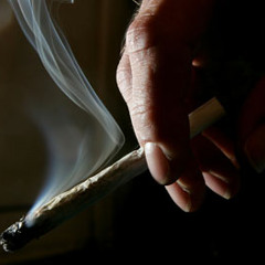 Sodafrent - Til Its Gone