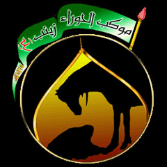 الرادود/كميل عاشور موكب الحوراء زينب ع بسنابس