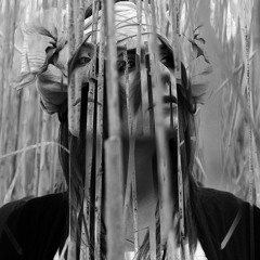 Feathers: Dream Song (Maya Postepski remix)