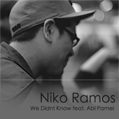 We Didn't Know feat. Abi Pamei