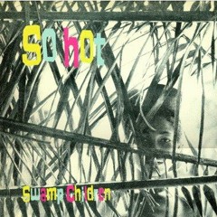 Swamp Children - Tender Game