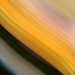 Dr.Chalice [Digital Steppaz] - Subreal Dub feat.Pupa Jim (Sub Sub Refix)