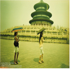 stay where the sun is