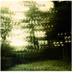 Buzz Aldrin - Eclipse