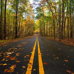 Rastaak - Payize Saale Ba'd